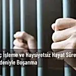 suç işleme ve haysiyetsiz hayat sürme nedeniyle boşanma